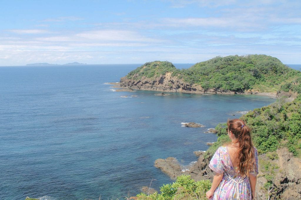 whale bay, new zealand, tutukaka, Northland, New Zealand