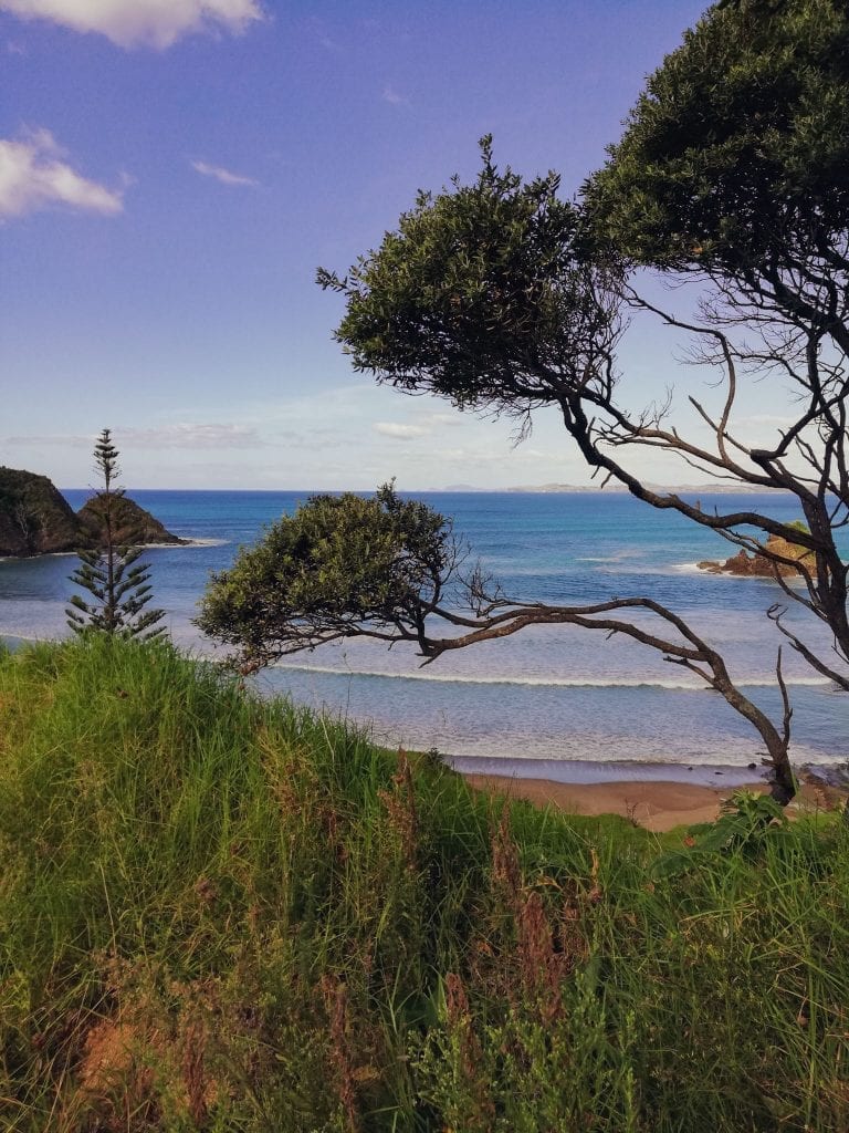 beach kauri cliffs