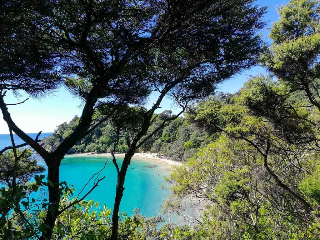 whale-bay-tutukaka-beach