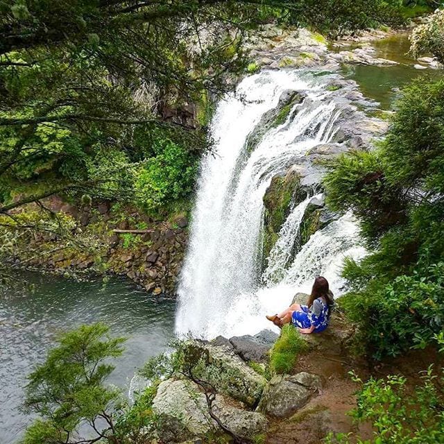 rainbow falls kerikeri