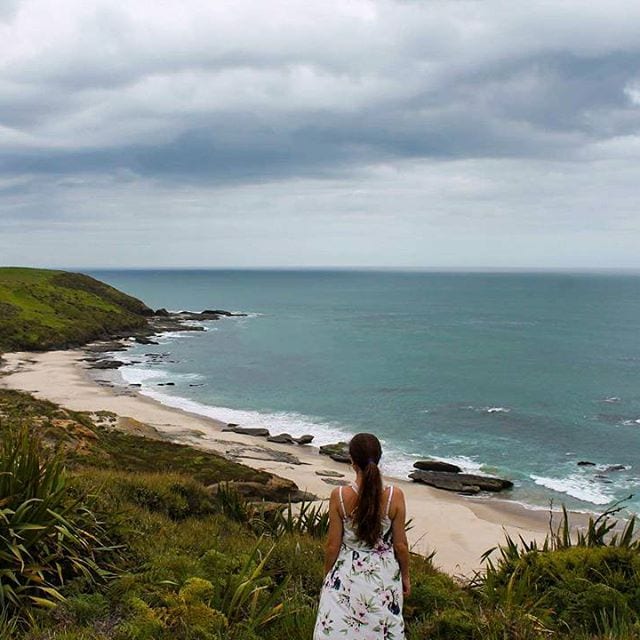 omapere, new zealand, arai te uru, Northland, New Zealand