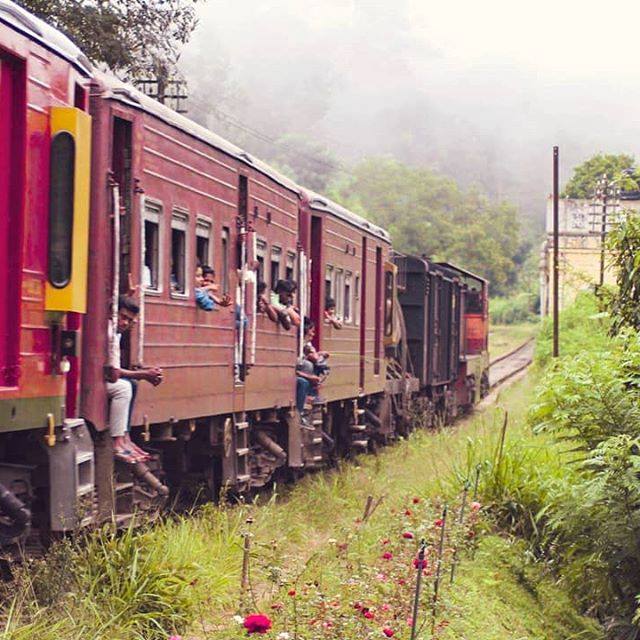 kandy to ella train, photogenic sri lanka