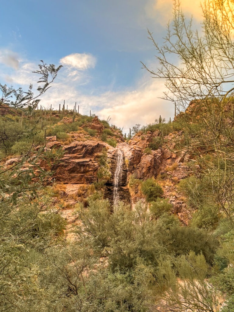 arizona scenery