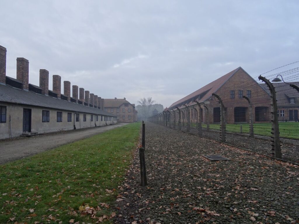 moody day auschwitz barbed wire fence
