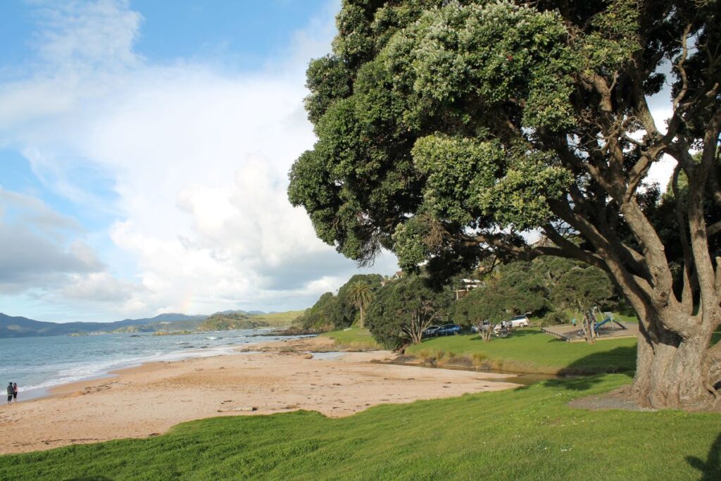 beach in russell new zealand