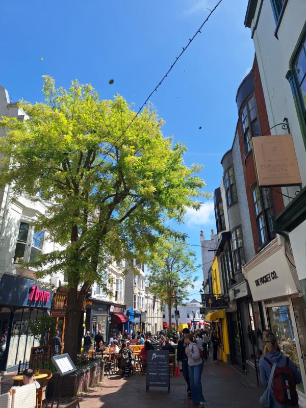 brighton lanes sunny day