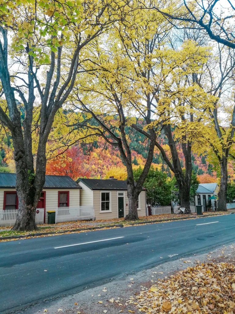 buckingham street arrowtown