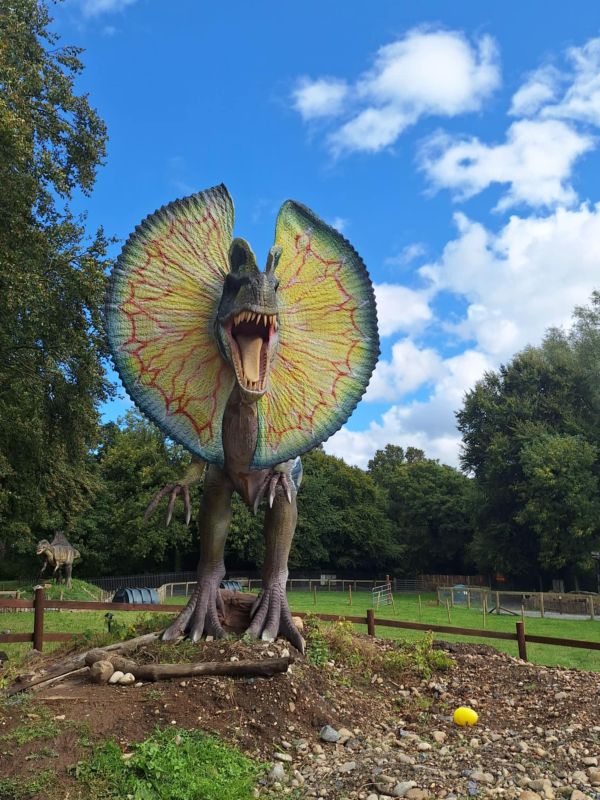 dilophosaurus newpark kilkenny