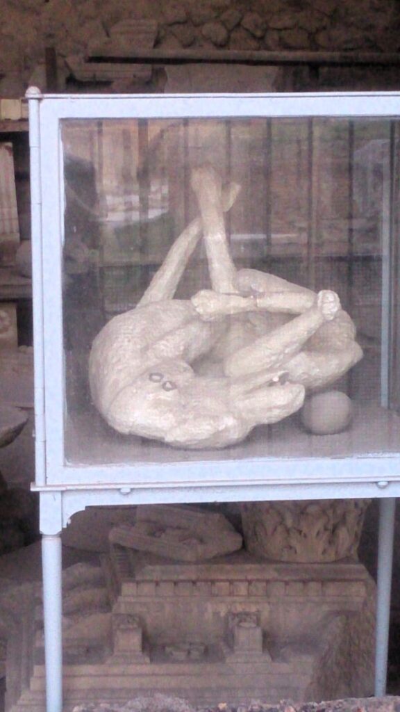 dog encased in ash pompeii