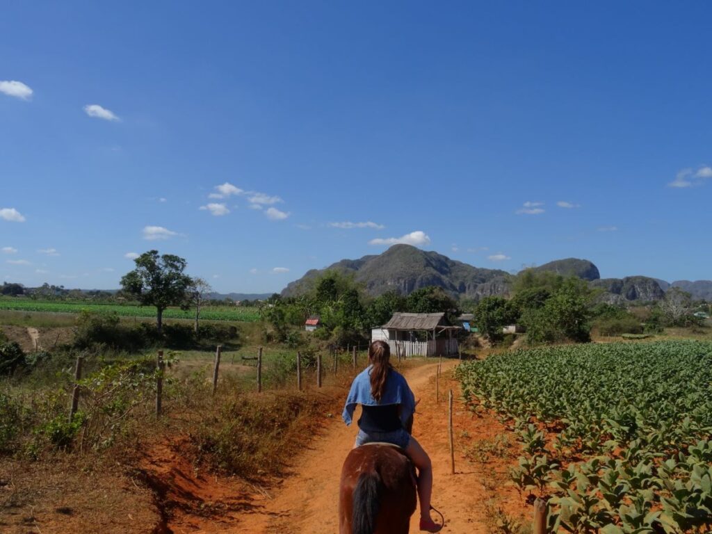 lady horse riding vinales cuba
