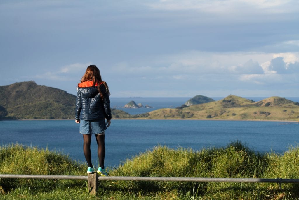 viewpoint matauri bay