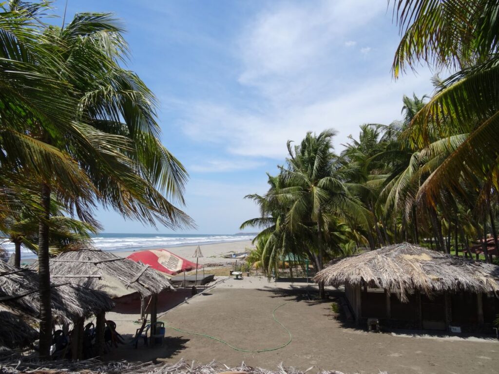 pathway to beach la tortuga verde
