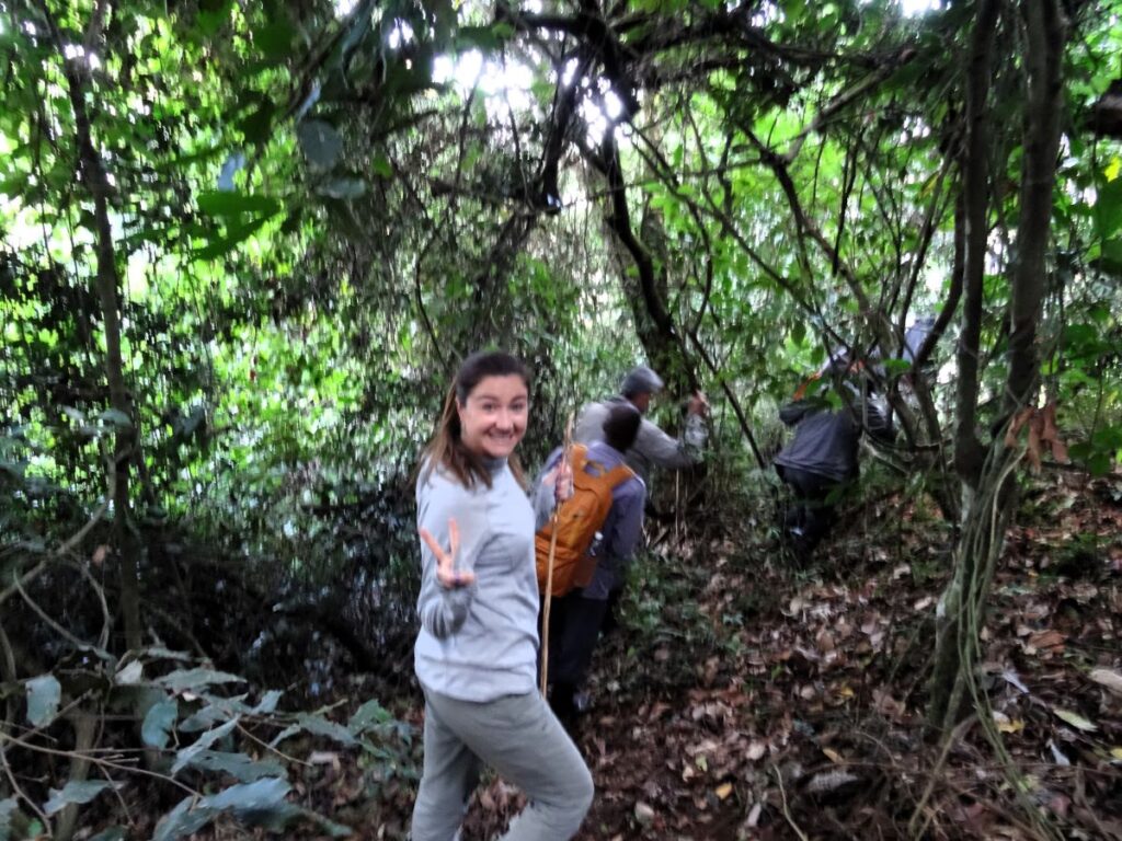 hiking bwindi uganda