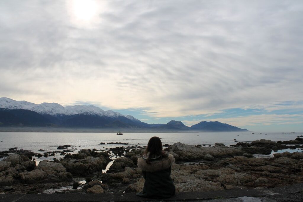 viewpoint kaikoura