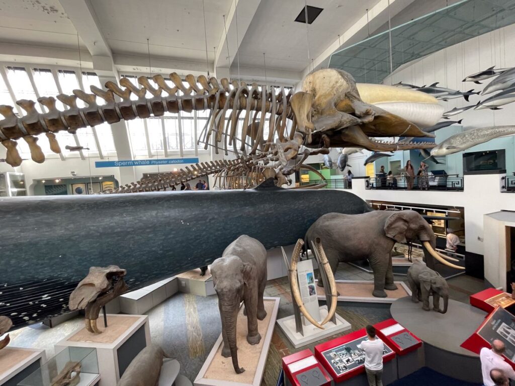 natural history museum london