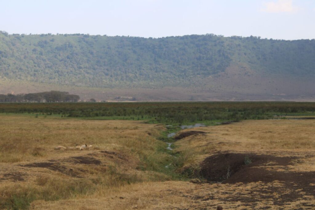 scenery ngorongoro crater