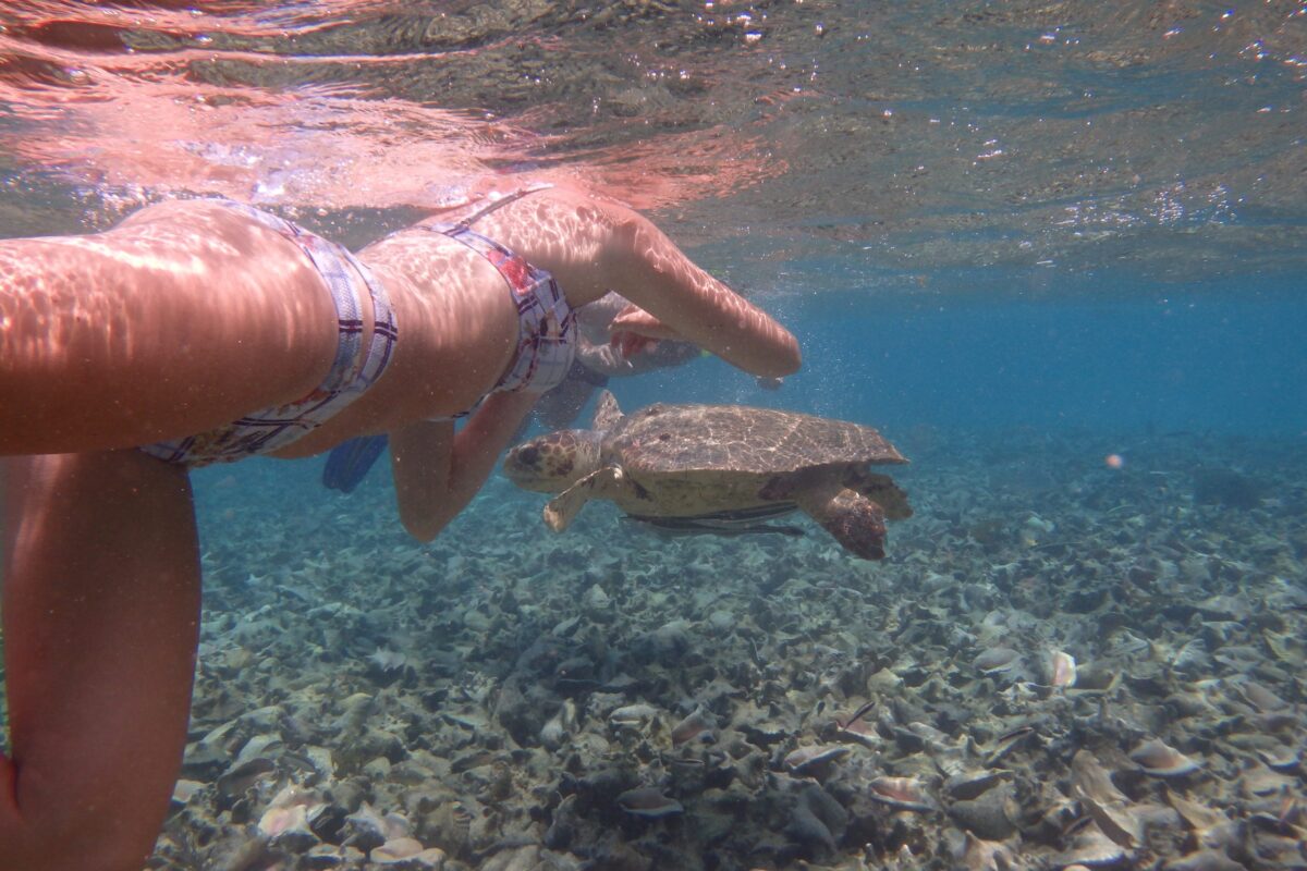 diving hol chan marine reserve