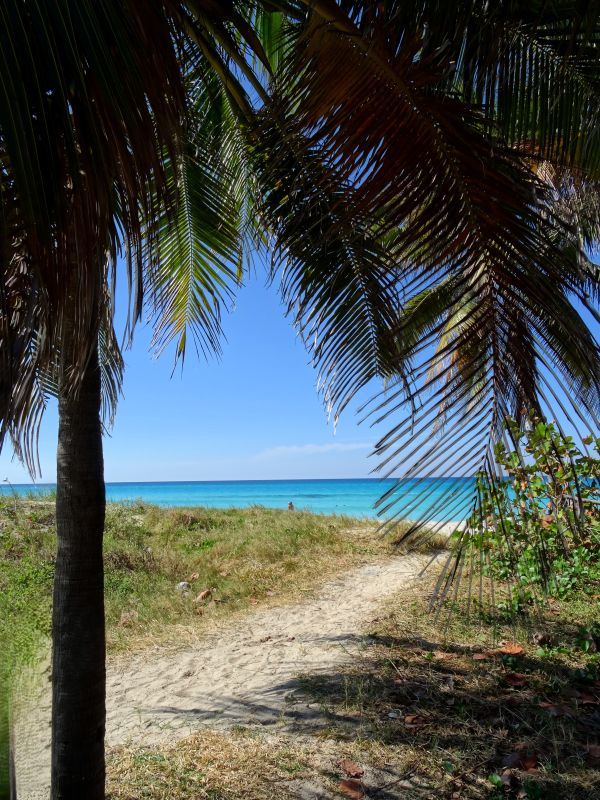 pathway to beach varadero cuba
