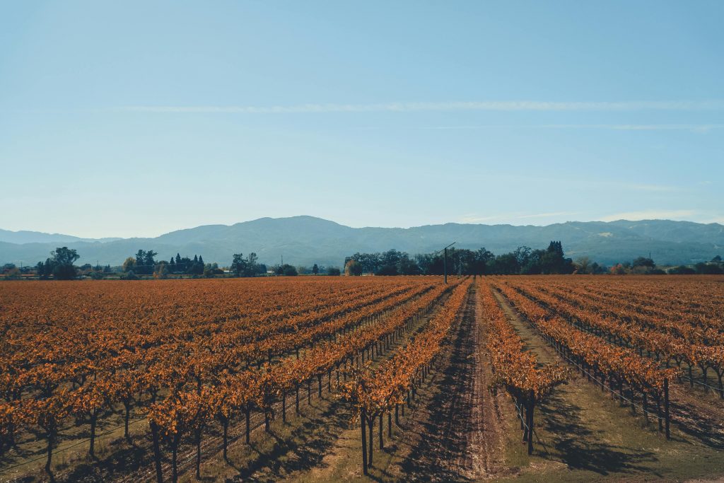 napa wineries 