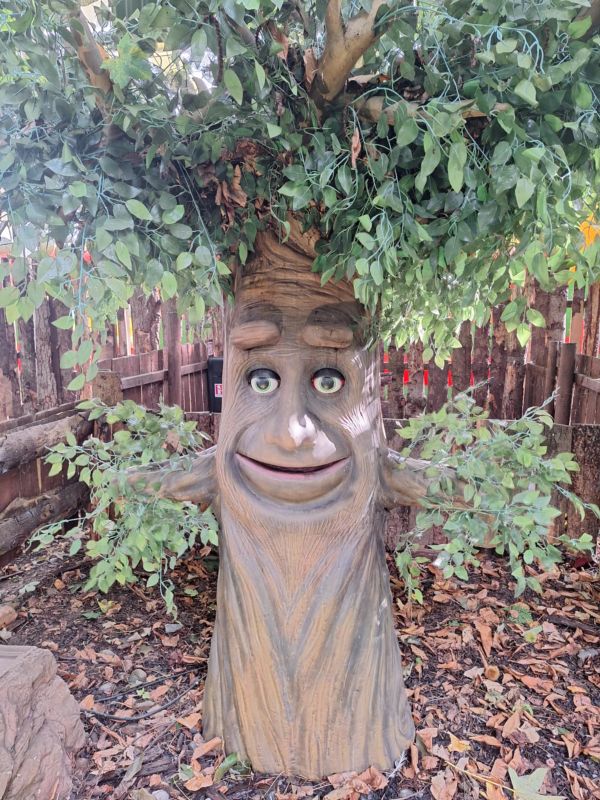 talking tree newpark kilkenny