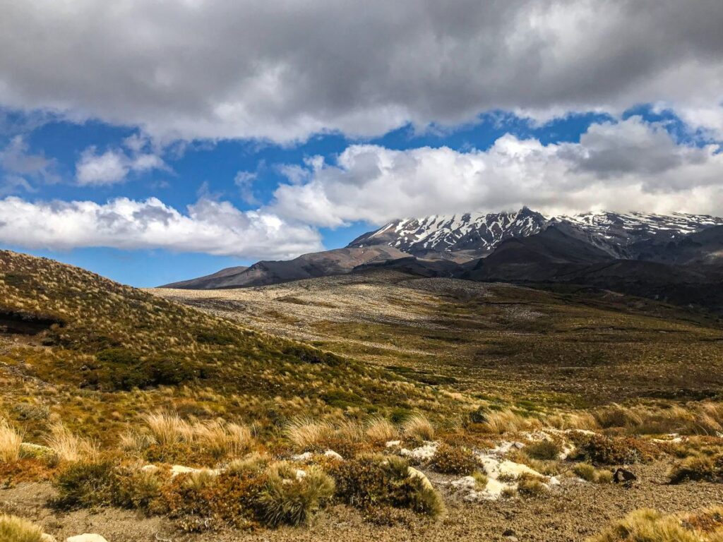 scenery tongariro national park