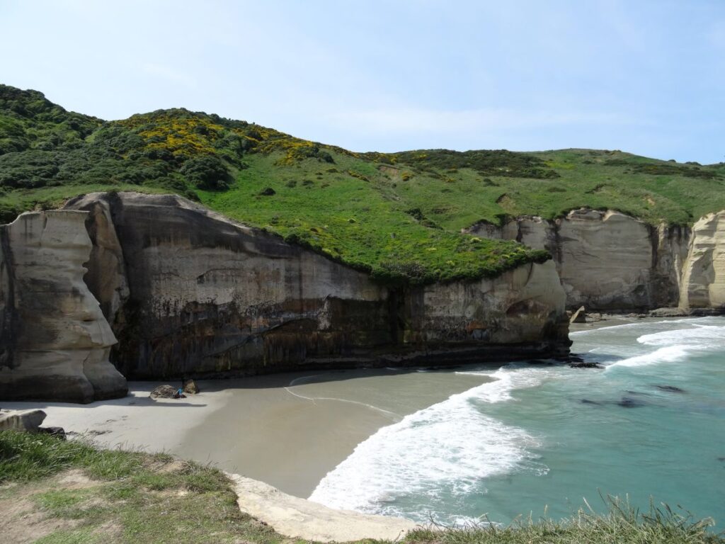 tunnel beach dunedin