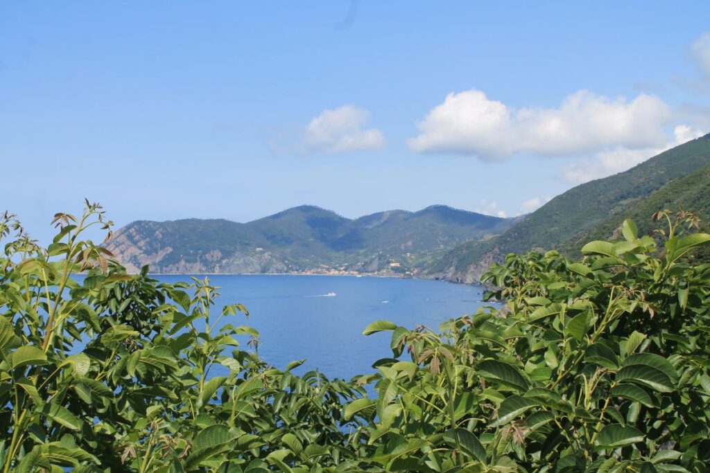 view from corniglia