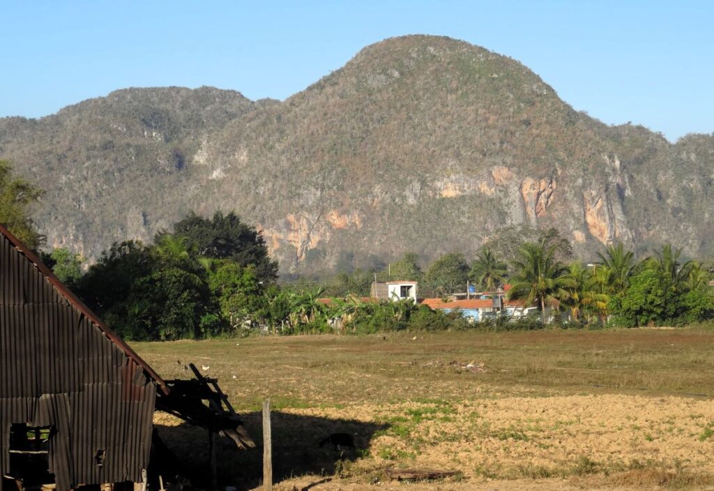 view from casa particulare in vinales