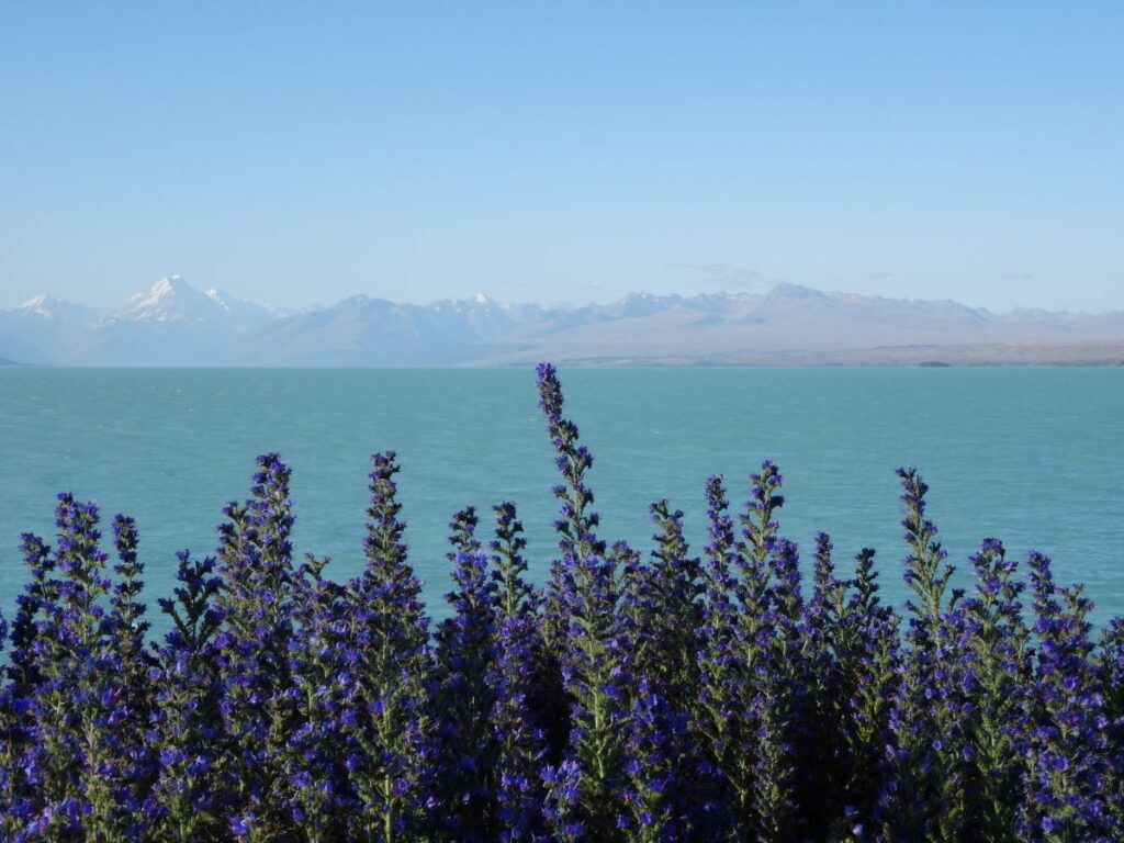 view of lake pukaki
