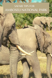 A safari in Amboseli National Park should be added to your bucket list, let me explain why this less-crowded National Park is worth visiting.